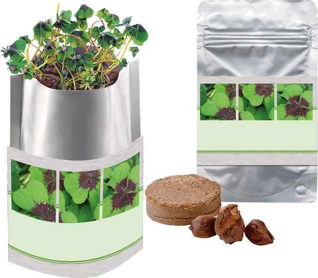 Plant-Bag Viel Glück, Glückskleezwiebelchen, 1-4 c Digitaldruck inklusive